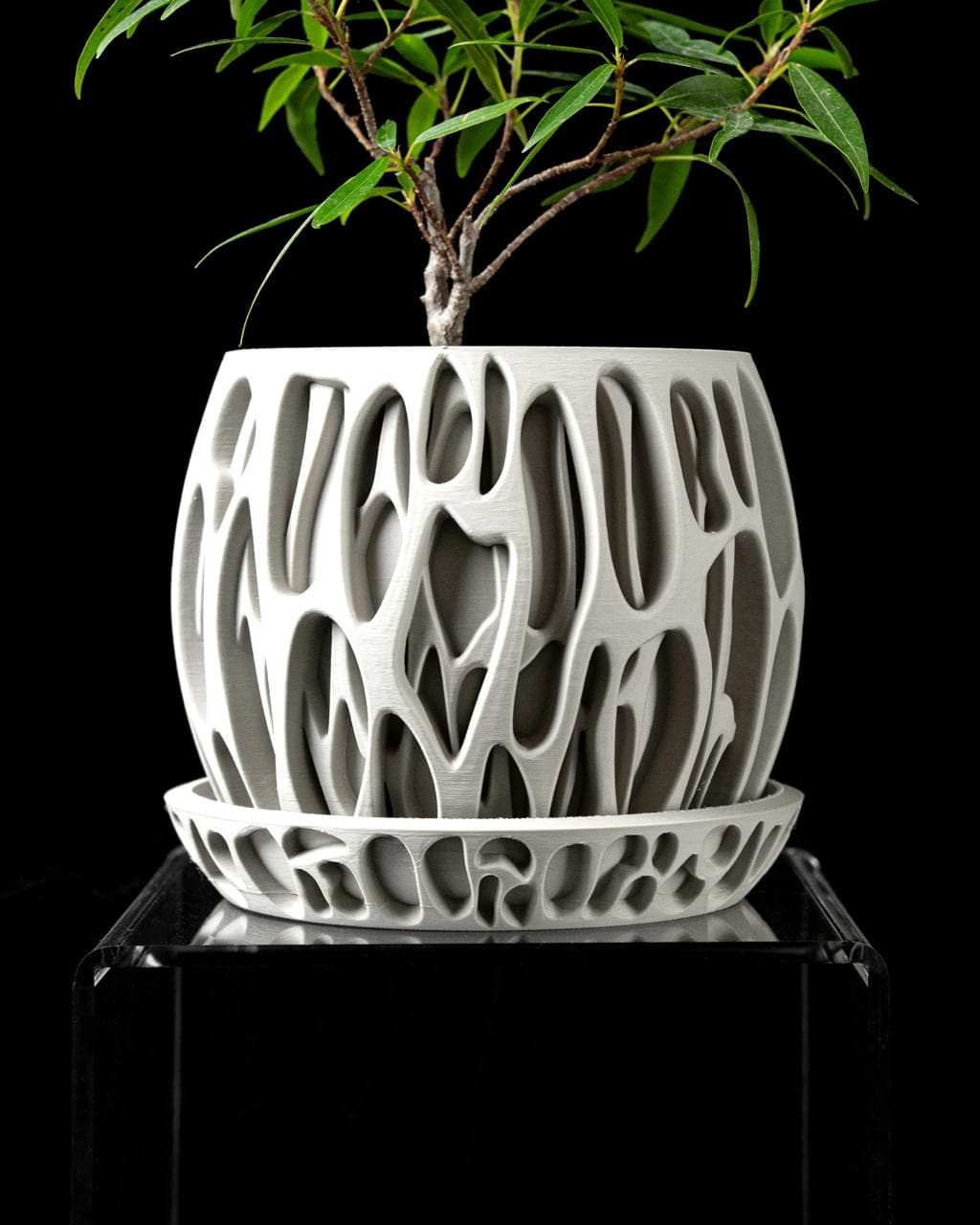Slime Planter