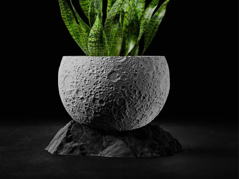 Moon-shaped planter