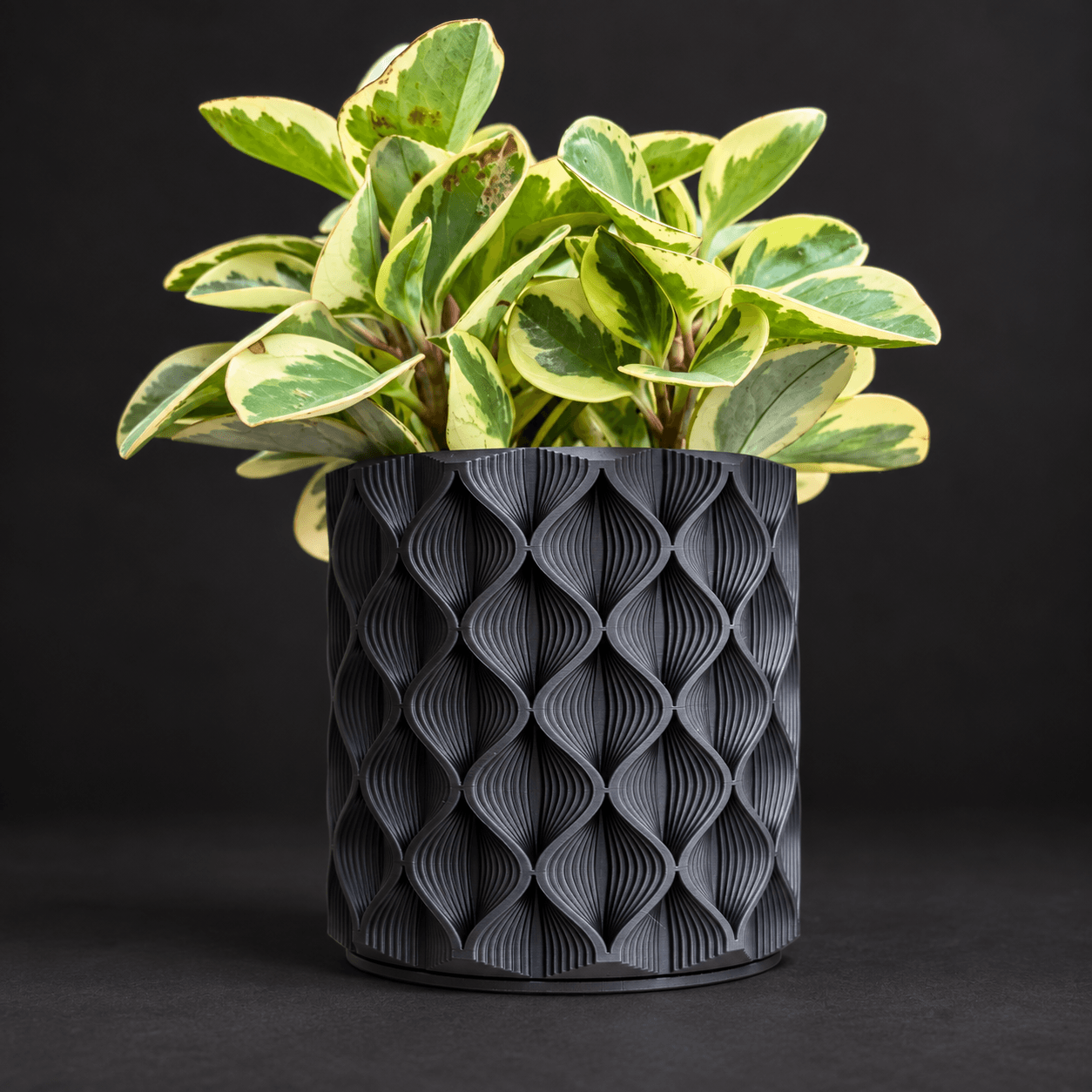Relief planter waves